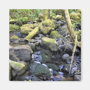 Aimant Hardy Creek, Oregon