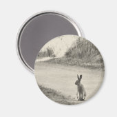 Aimant Hare aujourd'hui (Recto/Verso)