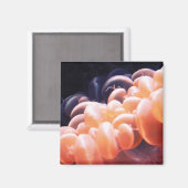 Aimant haricots lités 8x8 (Recto/Verso)