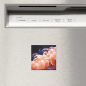 Aimant haricots lités 8x8 (In Situ (Lave-vaisselle))