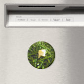 Aimant Haricots verts (In Situ (Lave-vaisselle))