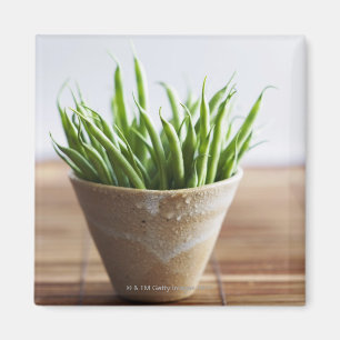 Aimant Haricots verts dans le pot sur la surface en