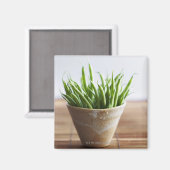 Aimant Haricots verts en pot sur la surface du bambou (Recto/Verso)
