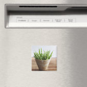 Aimant Haricots verts en pot sur la surface du bambou (In Situ (Lave-vaisselle))