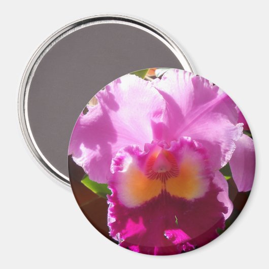 Aimant Harlinde (Recto/Verso)