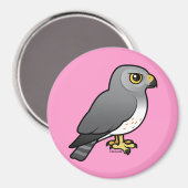 Aimant Harrier du Nord (Recto/Verso)