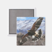 Aimant Harris Hawk - pastel (Recto/Verso)