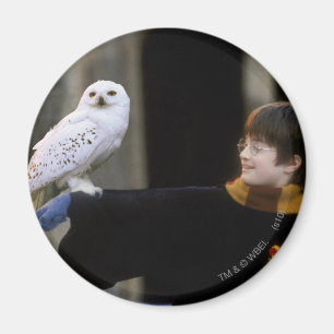 Aimant Harry et Hedwig 3