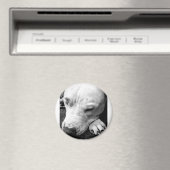 Aimant harry potier cicatrice chien blanc pit bull (In Situ (Lave-vaisselle))