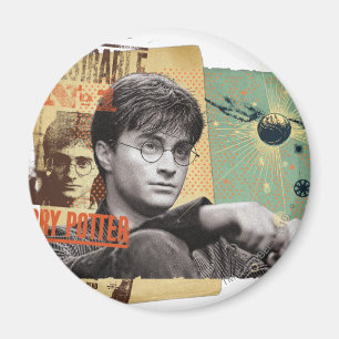 Aimant Harry Potter 13