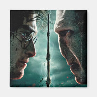 Harry Potter 7 Partie 2 - Harry contre Voldemort