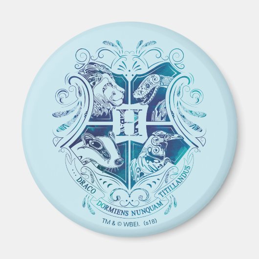 Aimant Harry Potter | Aguamenti HOGWARTS™ Crest (Devant)