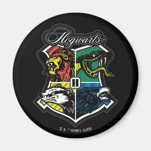 Aimant HARRY POTTER™   Badge sportif HOGWARTS™