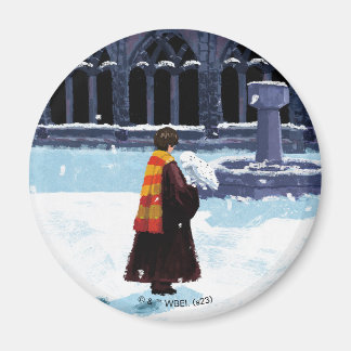 Aimant HARRY POTTER™ et Hedwig dans la cour de HOGWARTS™