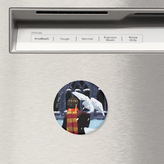 Aimant HARRY POTTER™ & Hedwig dans la neige (In Situ (Lave-vaisselle))