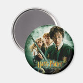 Aimant Harry Potter Ron Hermione Groupe Dobby Saisie (Recto/Verso)
