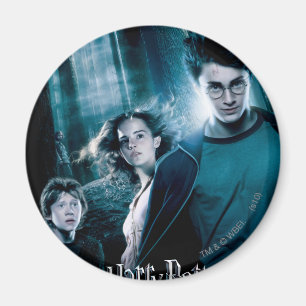 Aimant Harry Potter Ron Hermione In Forest