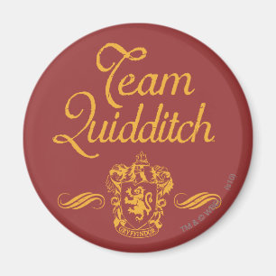 Aimant Harry Potter   Team QUIDDITCH™