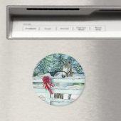 Aimant Harvey (In Situ (Lave-vaisselle))