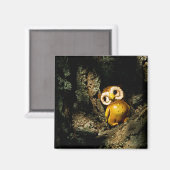 Aimant Harvey le hibou I (Recto/Verso)