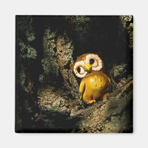 Aimant Harvey le hibou I