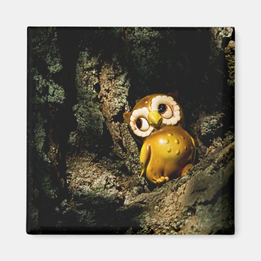 Aimant Harvey le hibou I (Devant)