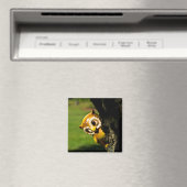 Aimant Harvey le hibou II (In Situ (Lave-vaisselle))
