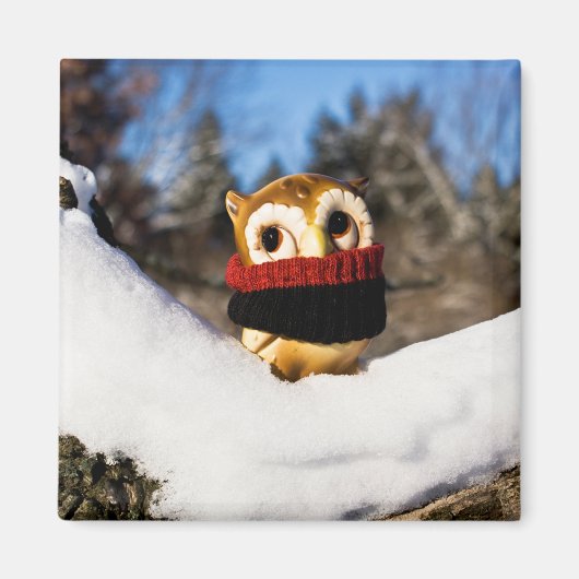 Aimant Harvey the Owl IV (Devant)
