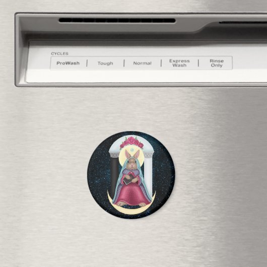 Aimant Haut Bunstress (In Situ (Lave-vaisselle))