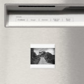 Aimant haut de la route (In Situ (Lave-vaisselle))