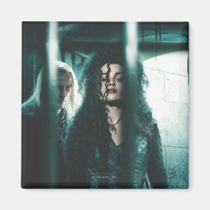 Aimant Hauteurs mortelles - Bellatrix & Lucius