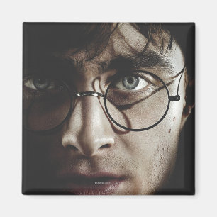 Aimant Hauteurs mortelles - Harry Potter