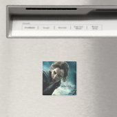 Aimant Hauteurs mortelles - Hermione 2 (In Situ (Lave-vaisselle))