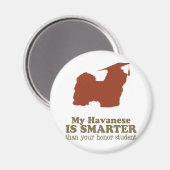 Aimant Havanais (Recto/Verso)