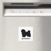 Aimant Havanais (In Situ (Lave-vaisselle))