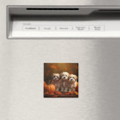 Aimant Havanais chiot automne ravi Citrouille (In Situ (Lave-vaisselle))