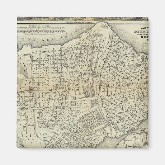 Aimant Havane (Devant)