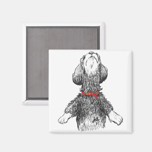 Aimant Havanese Happiness - Dancing pup! (Recto/Verso)