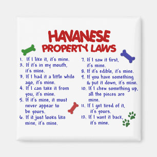 Aimant HAVANESE, lois sur la propriété 2