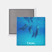 Aimant Hawaii (Recto/Verso)