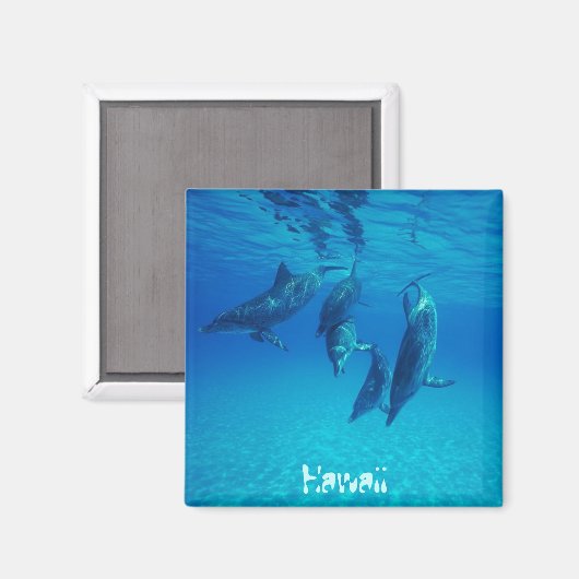 Aimant Hawaii (Recto/Verso)