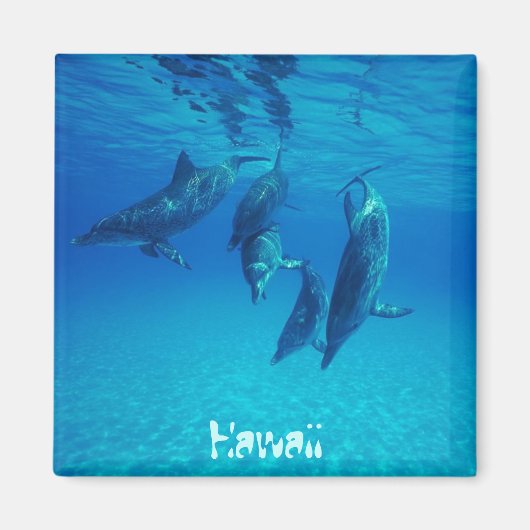 Aimant Hawaii (Devant)