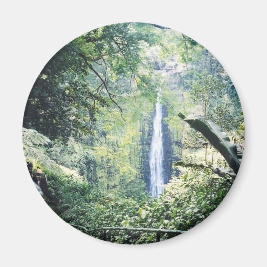 aimant hawaii (Devant)