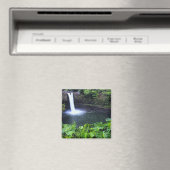 Aimant Hawaii, Big Island, Hilo, Rainbow Falls, Lush (In Situ (Lave-vaisselle))