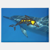 Aimant Hawaii Dolphin (Recto)
