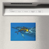 Aimant Hawaii Dolphin (In Situ (Lave-vaisselle))