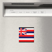 AIMANT HAWAII / DRAPEAU HAWAIIEN (In Situ (Lave-vaisselle))