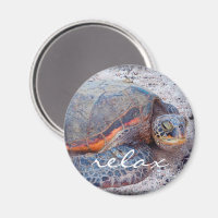Hawaii honu tortue de mer tropicale photo relax sc