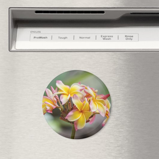 Aimant Hawaii Plumeria rose (In Situ (Lave-vaisselle))