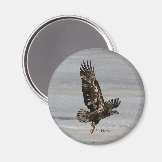 Aimant Hawk (Recto/Verso)